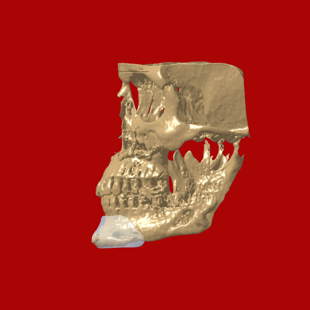 service image